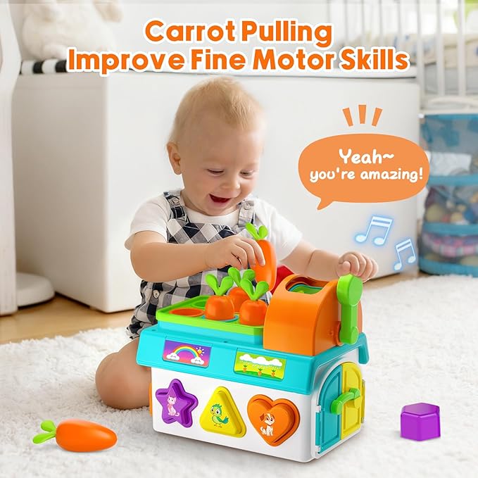 Musical SortingToys for 1 Year Old Boy, 1st First Birthday Boy Girl Gifts Presents, Montessori Educational Learning Toddler Toy for 1-2 Year Old, Fine Motor Skills Toy