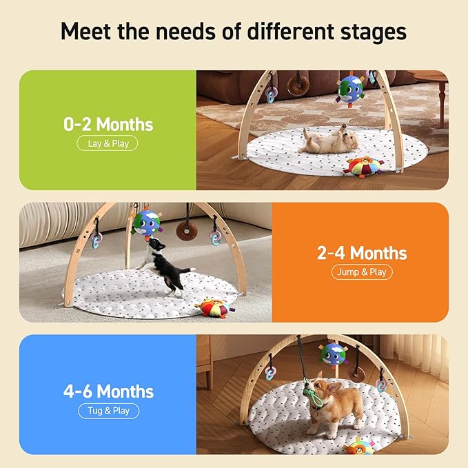 QDAN Puppy Play Gym, Wooden Frame with 6 Hanging Puppy Toys, Adjustable Straps, Puppy Enrichment Toys to Keep Them Busy