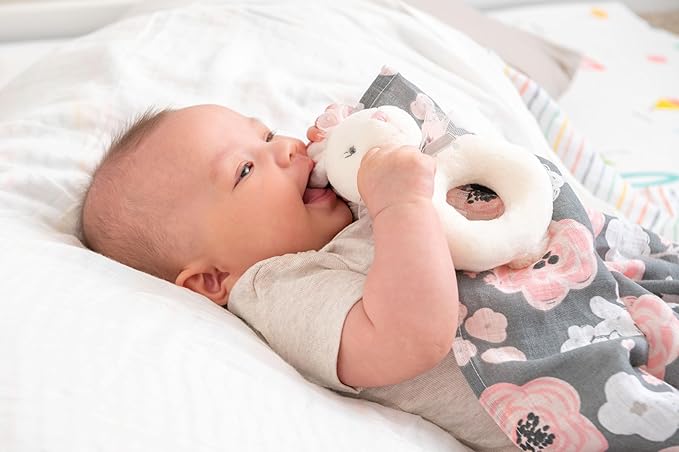 Stephen Joseph, Baby Soft Plush Ring Rattle, Koala