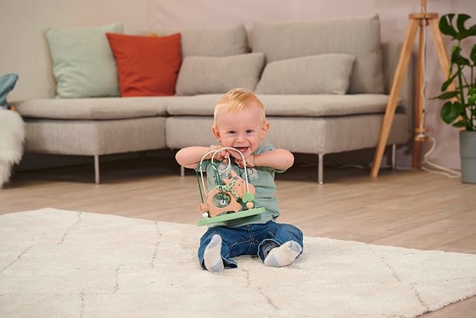 Eichhorn 100005868 EH Baby Hipp Motor Skills Bow, Multi-Coloured