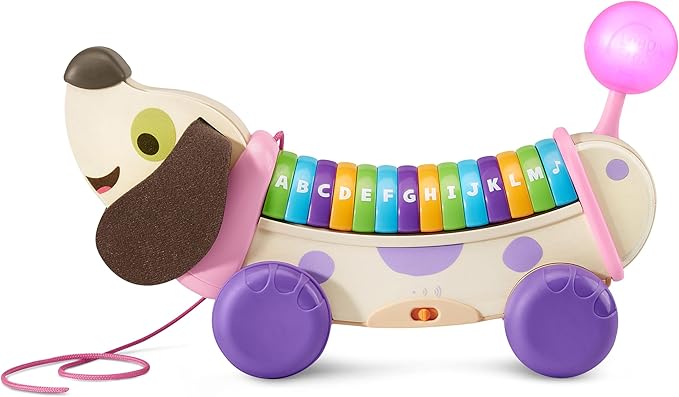 LeapFrog Wooden AlphaPup, Purple