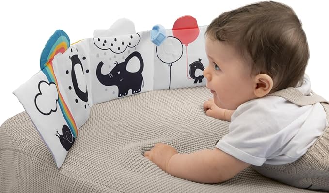 Chicco 00012162000000 Book, Multi-Coloured