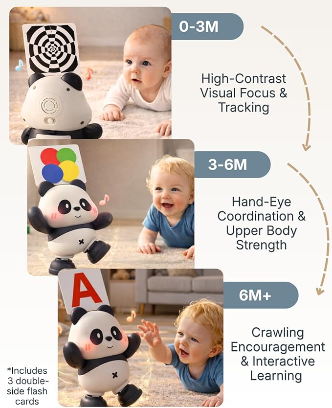 Cuddobaby Dancing Panda | 0-6M 6-12M Musical Toys, Changing Lights| Independent Tummy Time | Hands-Free High Contrast Flash Card Holder for Newborns, Crawling Encourage for Infants