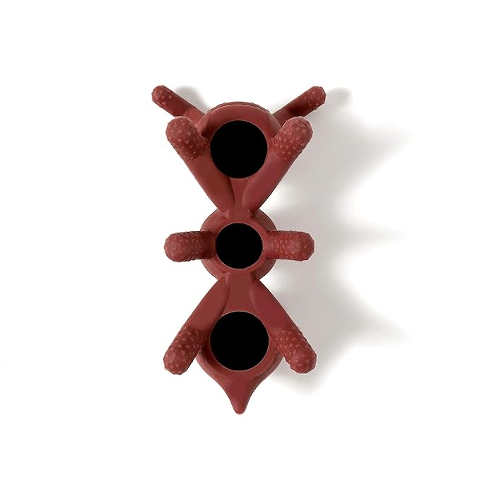 Doddle & Co. The Chew Ant Teether with Poppable Bubbles | Toddler Teething Fidget Toy for Baby | Enhaces Oral Fit & Easy to Hold & Grab | Helps to Promote Development for New Born Babies | Pack of 1