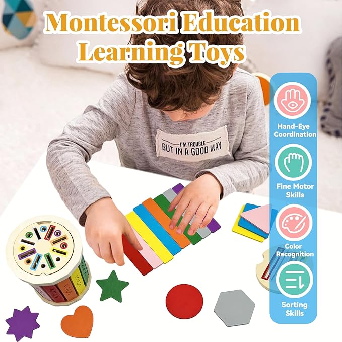 Montessori Wooden Stick Color Sorting Toys for 3 Year Old, Dual Play Educational Preschool Learning Fine Motor Skills Sensory Toys for Toddlers 3-5 Girl Boy Birthday Gifts (Rainbow Bucket)