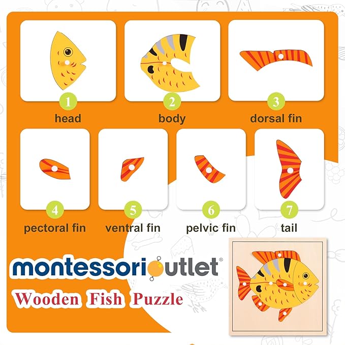 Montessori Outlet Fish Puzzle for Children 3-6 Years Montessori Education at School and Home