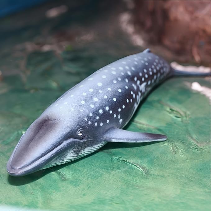 Gemini&Genius Whale Shark Animals Action Figure Toys for Kids (Dolphin, Tiger Shark, Whale Shark)
