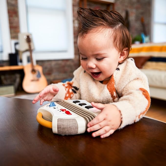Tiny Love Tiny Rockers Accordion Baby Learning Toy