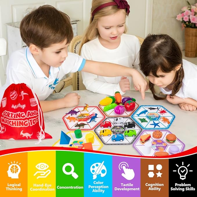 Sorting Toys for Toddlers, Match Card & Sort Game Set, Sensory Toys, Multiple Themes Fine Motor Sorting Games, Preschool Educational Learning Toys Sorting Matching Playset for Boys and Girls