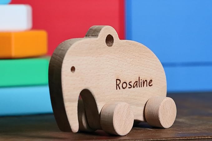 Wooden Turtle Push Toy, Waldorf and Montessori Animal Toy, Personalized Toy Gift, Gift for Baby Shower