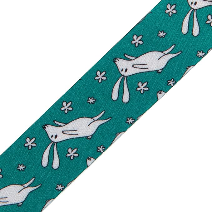Babygoal Rabbit Pacifier Clips, 6 Pack Pacifier Holder Clips for Baby Boys and Girls Fits Most Pacifier Styles