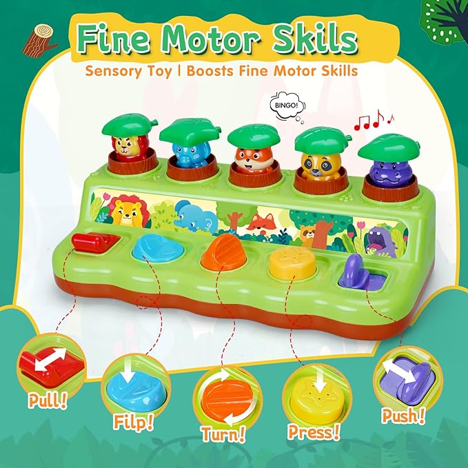 FS Pop Up Toy for Baby 6-12 Months, Cause and Effect Toys for 1 Year Old, Early Learning Educational Pop Up Baby Toy for Boys and Girls Gifts