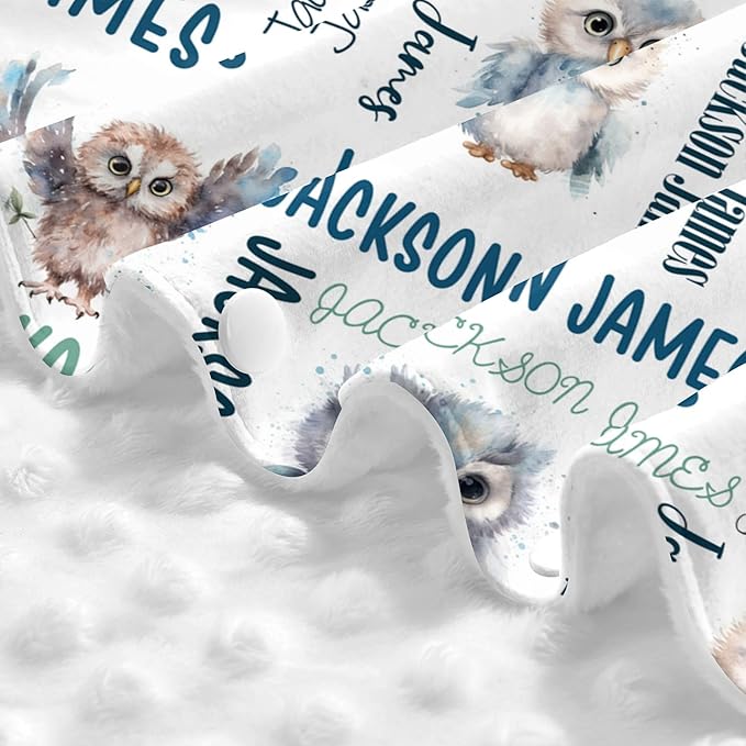 Personalized Baby Car Seat Cover Winter Custom Minky Carseat Cover Boy Girls with Name Owl Carseat Canopy Customized Car Seat Canopy Infant Carrier Covers Nursing Cover Toddler Blanket