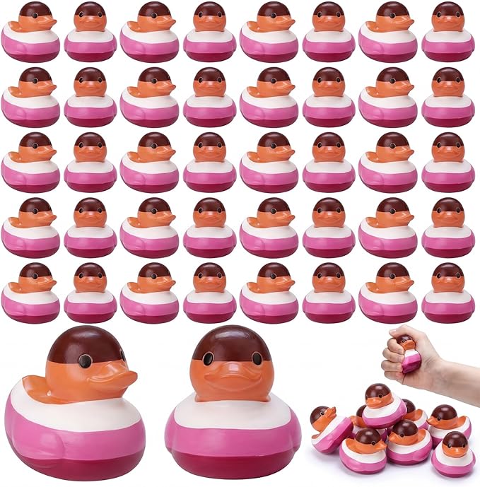 Sotiff 24 Pcs Rainbow Lesbian Pride Rubber Duck Mini Rubber Duckies Bulk Lesbian Stuff Rainbow Party Decorations Bathtub Ducky for Colorful Birthday LGBT Party Favors Gift