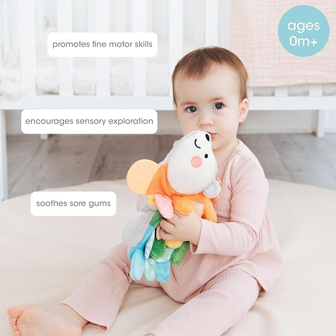 Pearhead Hedgehog Sensory Toy, Plush Lovey with Crinkle Tabs and Silicone Teether for Babies 0m+, Infant Development Toy