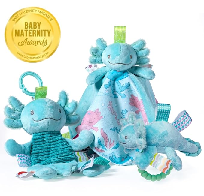 Taggies Soft Baby Rattle with Soothing Teether Ring and Sensory Tags, 6-Inches, Fizzy Aqua Axolotl