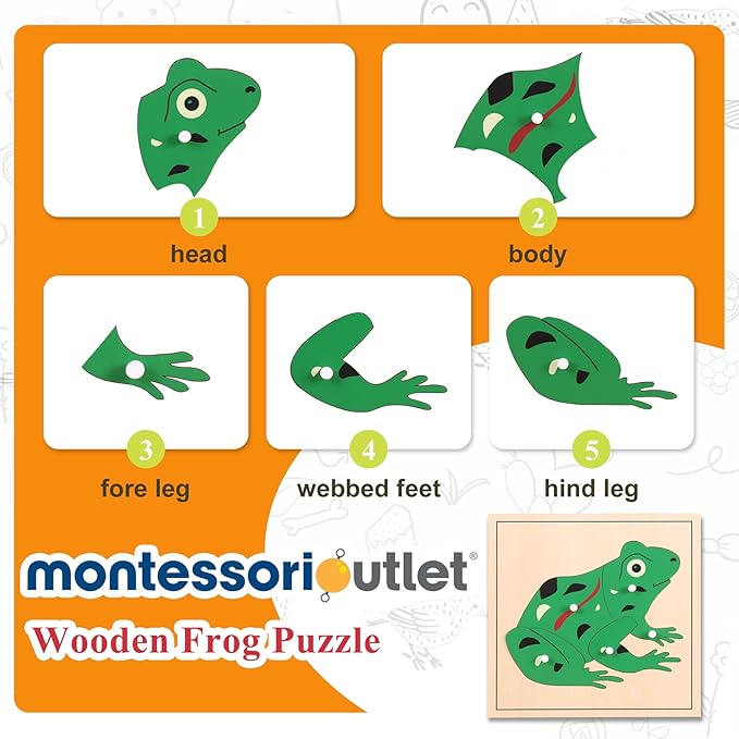 Montessori Outlet Frog Puzzle for 3-6 Years Montessori Education at School and Home