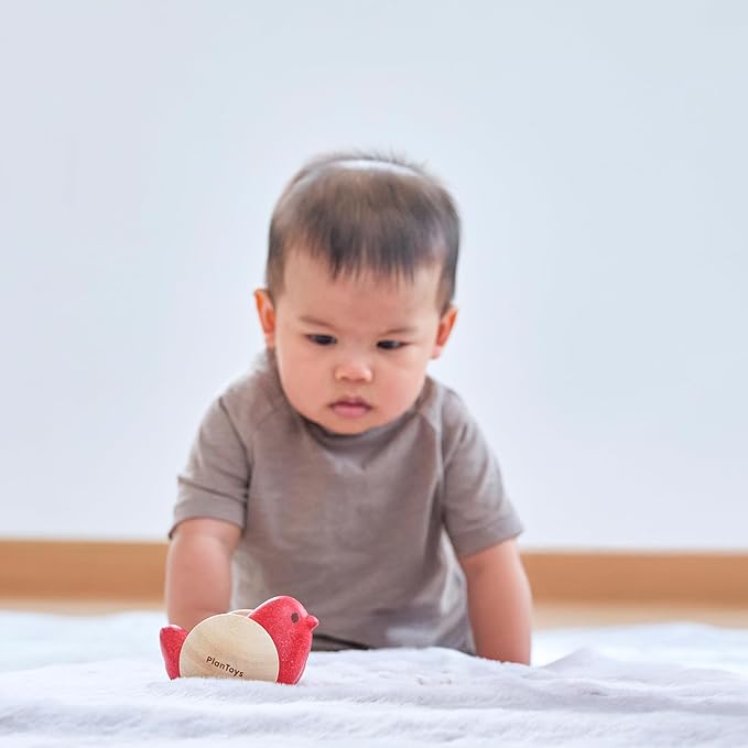 PlanToys® Wooden Bird Roller Toy | Montessori Inspired Rolling Toy for Crawling, Visual Tracking & Motor Skill Development | Eco Friendly Push & Chase Activity for Babies