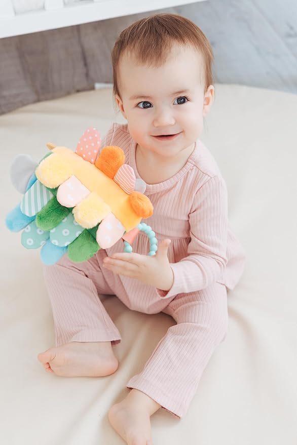Pearhead Hedgehog Sensory Toy, Plush Lovey with Crinkle Tabs and Silicone Teether for Babies 0m+, Infant Development Toy