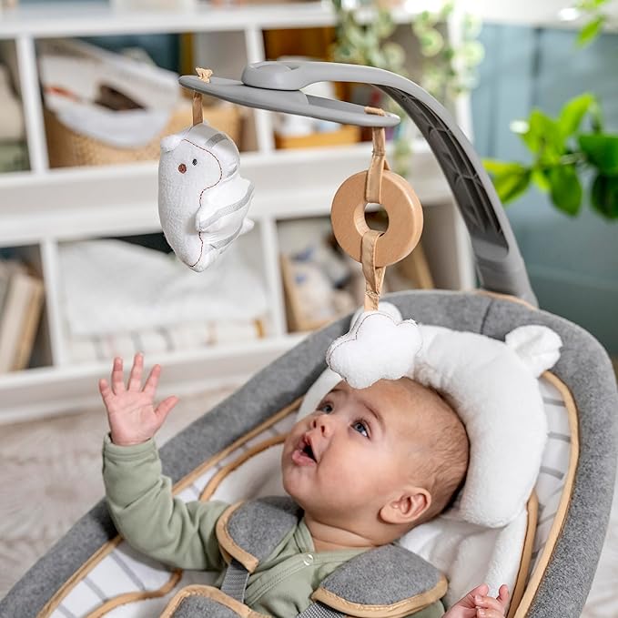 Ingenuity Boutique Collection Plush Modern Baby Rocker & Stationary Seat with Vibrations, Easy Fold, 0-30 Months Up to 40 lbs (Bella Teddy)
