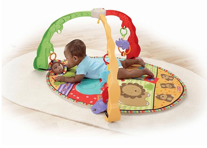 Fisher-Price Luv U Zoo Musical Mirror Activity Gym