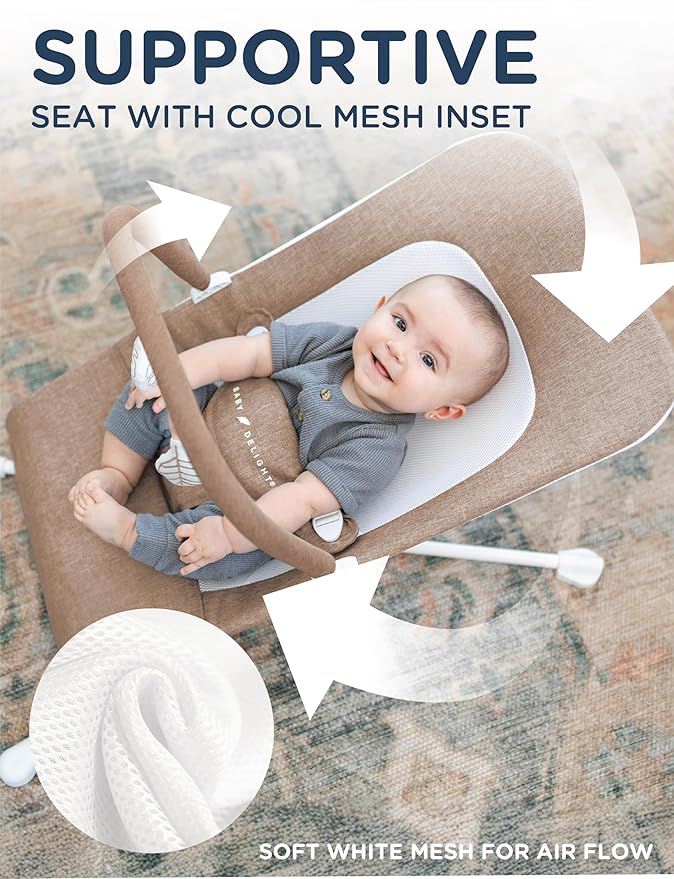 Baby Delight Highland Baby Bouncer | Infant | 0 – 6 Months | 3-Position Recline | Mocha Tweed