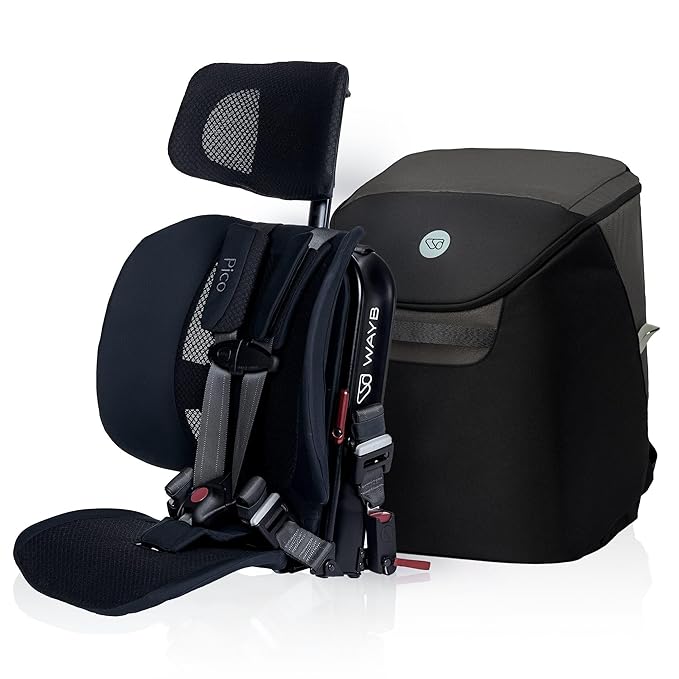 WAYB Pico Travel Car Seat Organizer Bundle