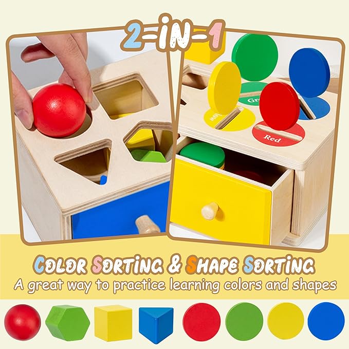 Biottro Montessori Toys for 3 4 5 Year Old - Shape Sorter Matching Color Sorting Recognization Sensory Toys for Toddlers Boy Girl Education Preschool Fine Motor Skills Box Gift