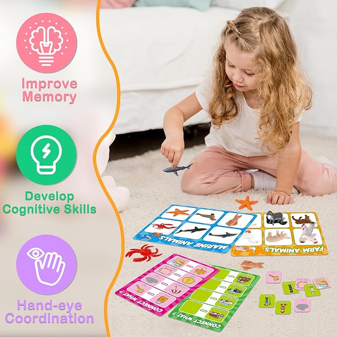 Broytain Match Card & Sort Game Set for Toddlers,Montessori Game for Kids Educational Fine Motor Skills,Speech Therapy Toys,Preschool Kindergarten Learning Activities,Sorting Toys for Toddlers 3-5