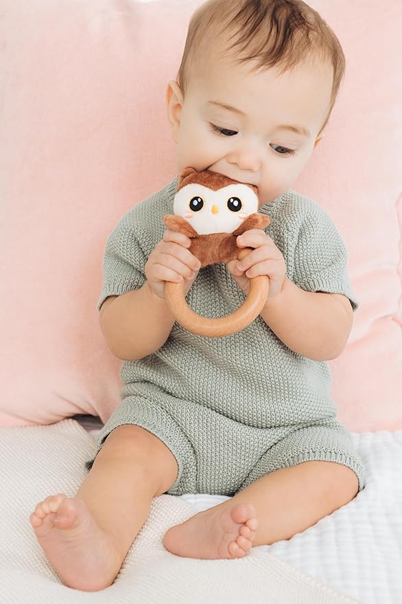 Pearhead Owl Wooden Baby Teether – Soft Plush Lovey with Natural Wood Rattle Ring, BPA-Free, Soothes Infant Gums, Multi-Sensory Newborn Essential for Boys and Girls, 0+ Months