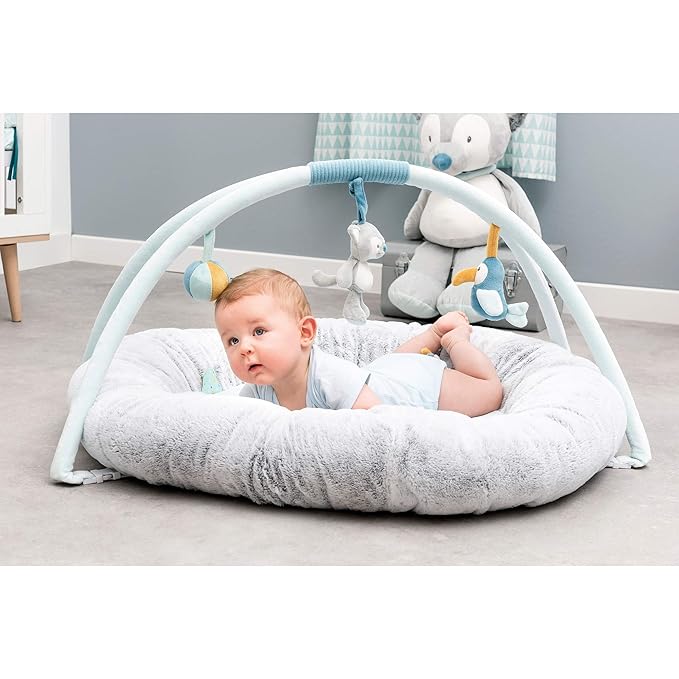 Nattou Tim and Tiloo Play Mat PlayGym with Arch for Security and Head Support 87 x 87 x 52 cm Blue/Grey