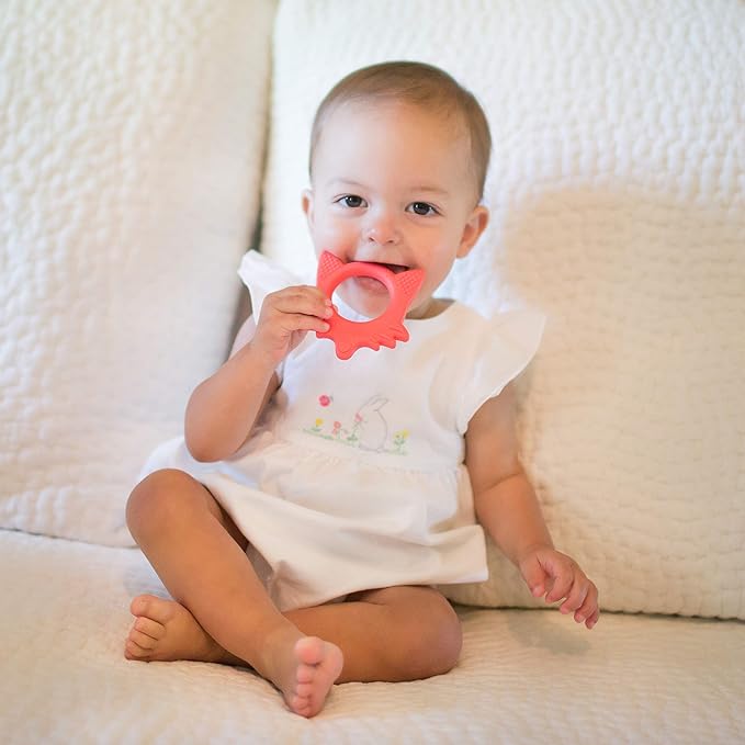 Dr. Brown's Flexees Friends Baby Teether, Orange Fox, 100% Silicone, BPA Free, 3m+