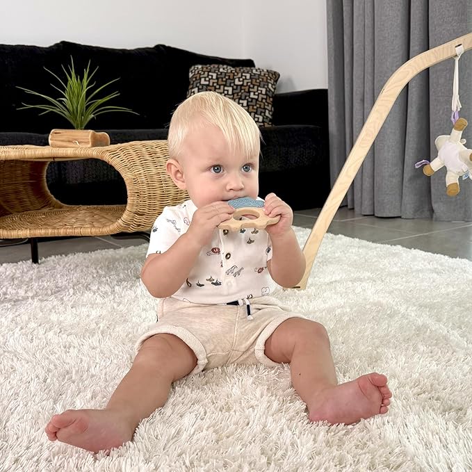 Baby Must Haves – Baby Teething Toys and Teether for Soothing Relief – Perfect for Teething Toys 3-6 Months and Shower Gifts – Soft, BPA-Free, Ergonomic Dinosaur Wood Design.