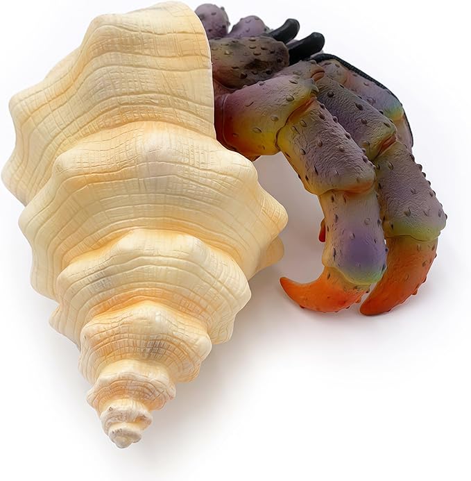 Gemini&Genius Sea Animal Hermit Crab Action Figure Toy for Kids, Soft Rubber Realistic Ocean Crab Educational and Role Play Toys for Kids and Collectors, Great Swimming and Bath Toys (Hermit Crab)