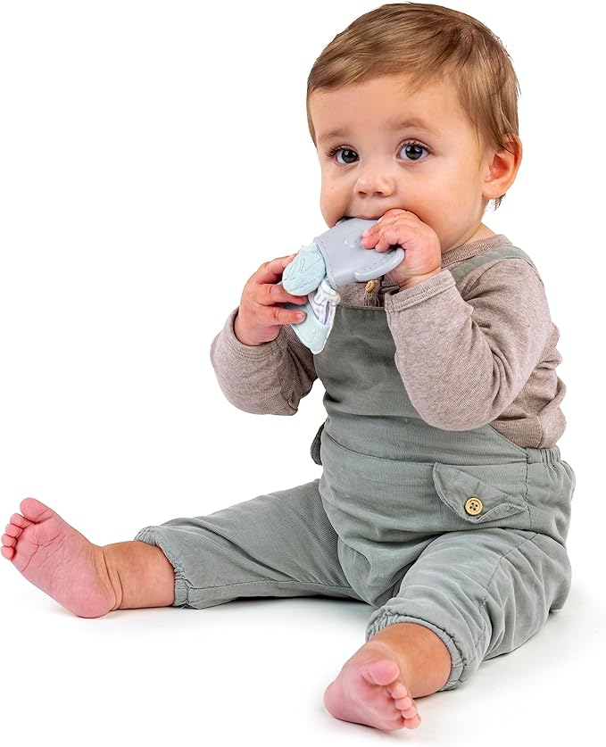 Ingenuity Teethers
