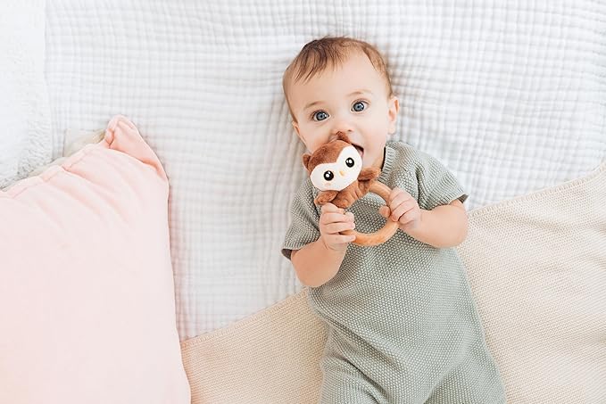 Pearhead Owl Wooden Baby Teether – Soft Plush Lovey with Natural Wood Rattle Ring, BPA-Free, Soothes Infant Gums, Multi-Sensory Newborn Essential for Boys and Girls, 0+ Months