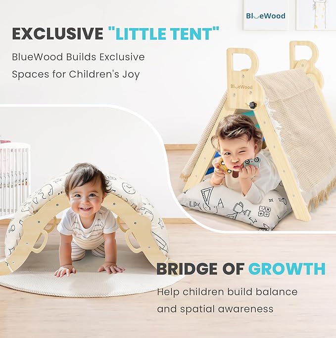BlueWood Pikler Triangle Set with Cushion, 8-in-1 Climbing Toys for Toddlers, Montessori Philosophy Play Jungle Gym with Arch, Ramp, Ladder(Sky Blue)