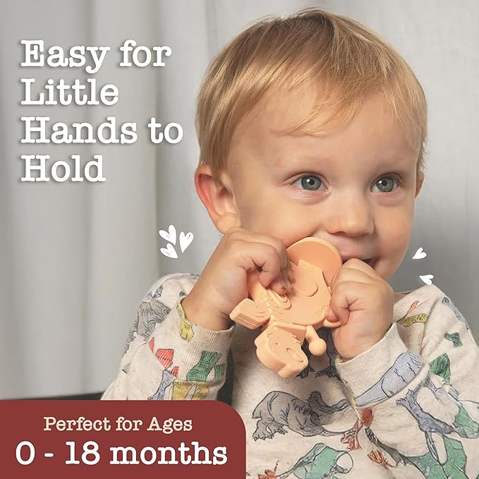 Bambeado Dibly Baby Teething Toy - Made with Natural Rubber & Amber Elements - Gentle Support, Easy to Hold, Simple to Clean - Cute Dinosaur Teether Toy - Alternative to Amber Teething Necklace Pink