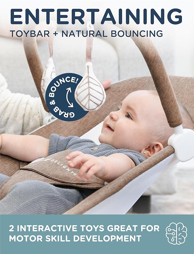 Baby Delight Highland Baby Bouncer | Infant | 0 – 6 Months | 3-Position Recline | Mocha Tweed