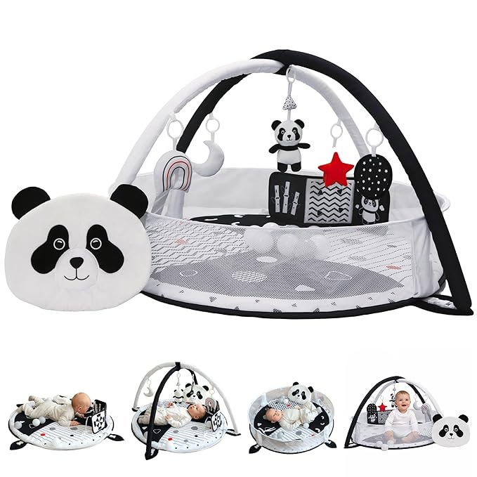 Aila+Aiden 6-in-1 XL Baby Activity Center & Ball Pit, Baby PlayMat & Play Gym, Sensory Exploration and Motor Skill Development Toys, High Contrast Book, Balls Included (Black and White)