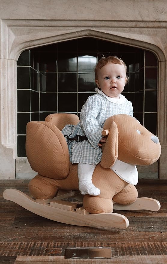Nattou Rocking Horse Animal for Children, Dog Charlie, 10-36 Months, 65 x 35 x 46 cm, Grey, 388115
