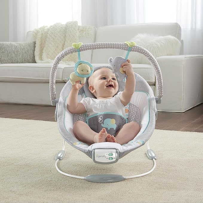 Ingenuity Soothing Baby Bouncer Infant Seat with Vibrations, -Toy Bar & Sounds, 0-6 Months Up to 20 lbs (Morrison)
