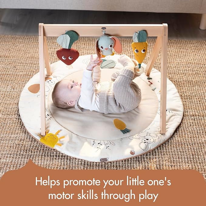Tiny Love Gardens of Adventure, Luxe Developmental Gymini