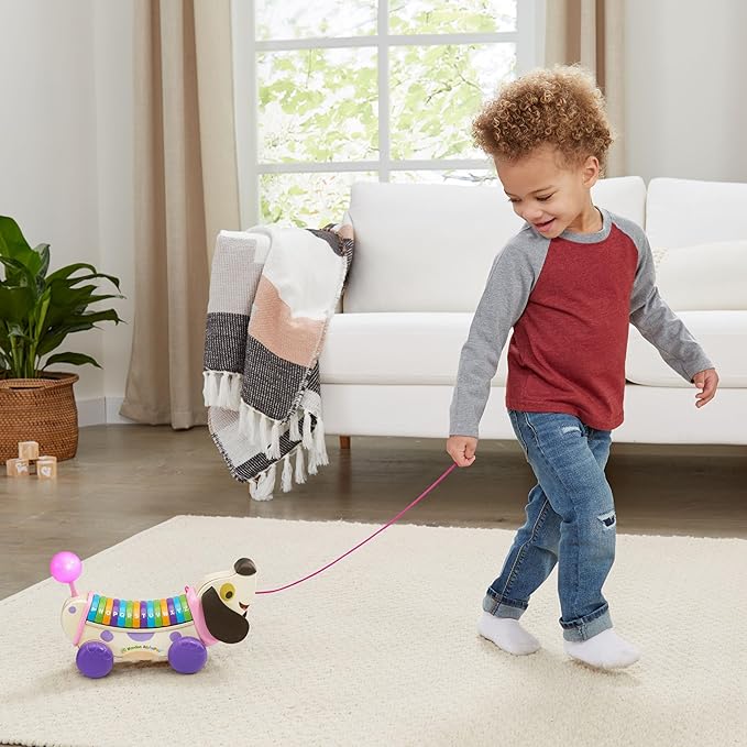 LeapFrog Wooden AlphaPup, Purple