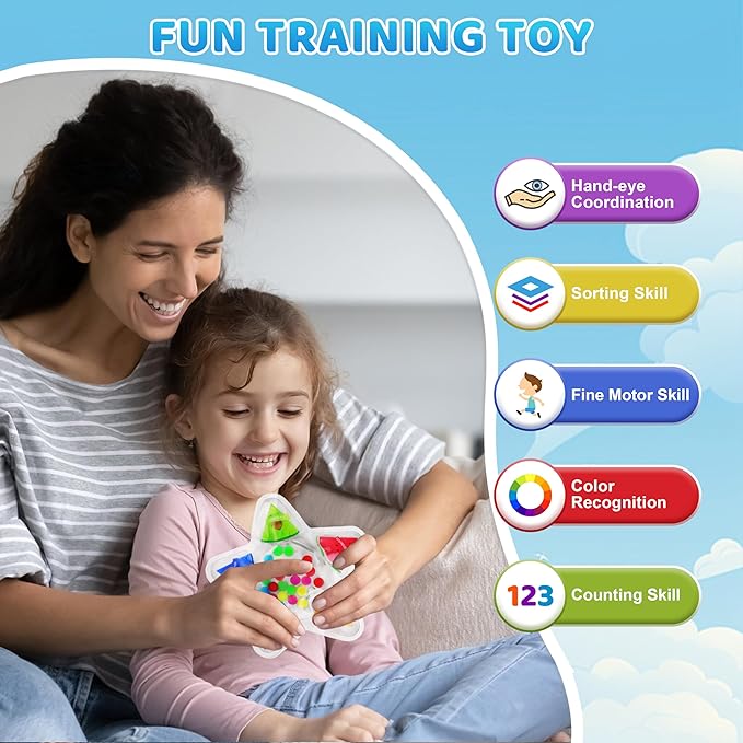 2PCS Color Sorting Sensory Toys for Toddlers, Color Matching Fidget Toys for Calming, Preschool Learning Montessori Toy Travel Fine Motor Skills Game for Kids Boys Girls Ages 3-5