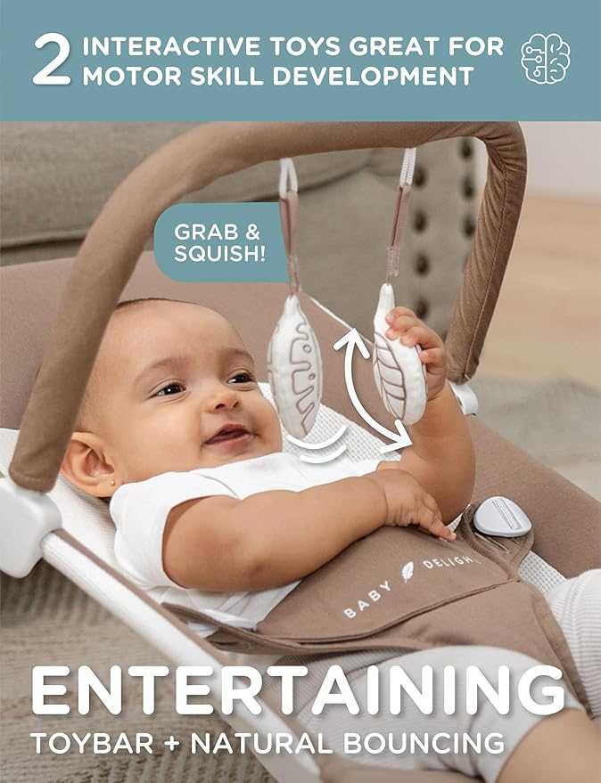 Baby Delight Highland Organic Baby Bouncer | Infant | 0 – 6 Months | 3-Position Recline | Organic Mocha