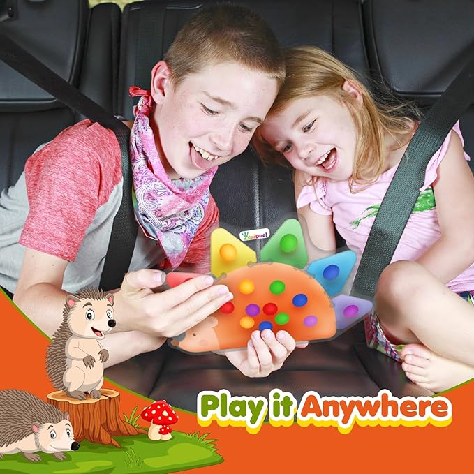 ZaxiDeel Color Sorting Sensory Toys for Kids : Roadtrip Travel Essenstial for Toddler, Color Matching Preschool Activities Educational Calm Down Montessori Toys for Boy Girl Gifts Ages 3+