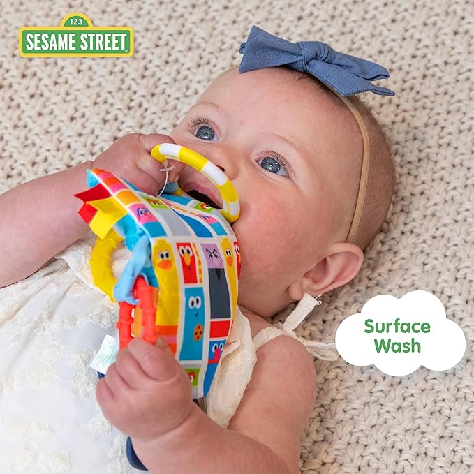 Kids Preferred Sesame Street Cookie Monster Tug & Tag Plush Sensory Toy for Newborns