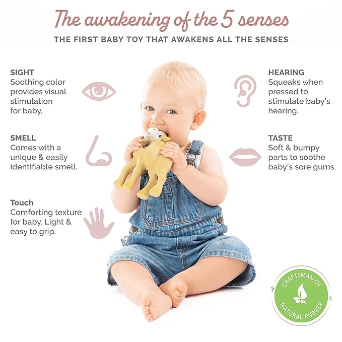 Sophie la girafe Al'Thir The Camel | Teether Friend to Sophie la girafe | Natural Rubber | Designed for Teething Babies | Awaken All 5 Senses | Easy to Clean