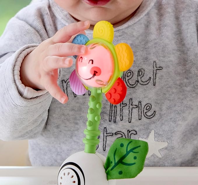 Hape Musical Flower Rattle | Multisensory Toy for Babies | Ideal for 0 Months Babies